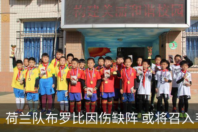 荷兰队布罗比因伤缺阵 或将召入韦霍斯特或齐尔克泽